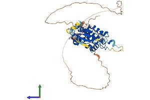 Protein Structure (PS) image for Chloride Intracellular Channel 5 (CLIC5) (AA 1-410) protein (His tag) (ABIN7553484)