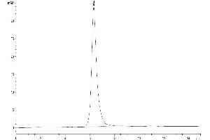 The purity of Mouse Syndecan-1 is greater than 95 % as determined by SEC-HPLC.