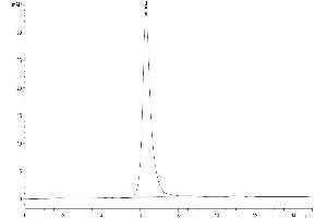 The purity of Mouse Syndecan-1 is greater than 95 % as determined by SEC-HPLC. (Syndecan 1 Protein (SDC1) (AA 23-255) (Fc Tag))