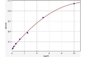 PDIA6 ELISA 试剂盒