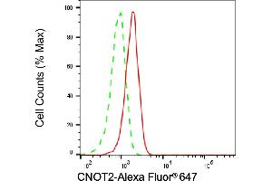 Flow cytometric analysis of CNOT2 expression in HAP-1 cells using CNOT2 antibody (ABIN7797951), 1:1,000). (CNOT2 抗体)