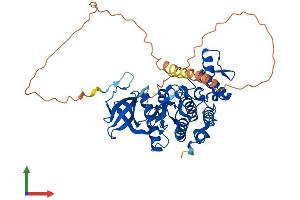 Protein Structure (PS) image for CDC like Kinase 1 (CLK1) (AA 1-484) protein (His tag) (ABIN7546563)