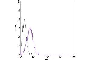 Flow cytometric analysis of non-transfected CHO cells (a) and Avi fusion protein transfeced CHO cells (b) using Avi Antibody (ABIN1574261). (Avi-Tag 抗体)