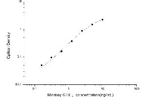ELISA image for Cross-Linked C-Telopeptides of Type I Collagen (CTX-I) ELISA Kit (ABIN6963094)
