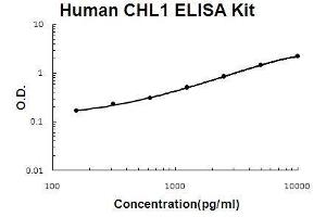 Human CHL1/L1CAM-2 PicoKine ELISA Kit standard curve