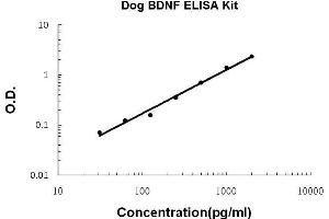 Dog BDNF PicoKine ELISA Kit standard curve