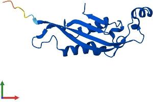 Protein Structure (PS) image for 6-Pyruvoyltetrahydropterin Synthase (PTS) (AA 1-144) protein (His tag) (ABIN7556229)