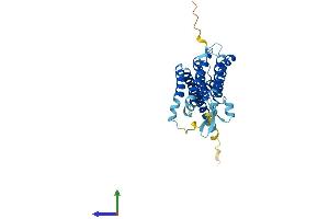 Protein Structure (PS) image for Fat Storage-Inducing Transmembrane Protein 1 (FITM1) (AA 1-292) protein (His tag) (ABIN7547664)