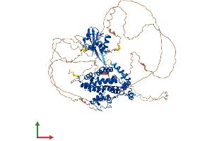 AlphaFold protein structure predicition of Mouse Recombinant Sh2d3c Protein, UniprotID Q9QZS8