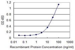 Detection limit for recombinant GST tagged MSRB2 is 1 ng/ml as a capture antibody. (MSRB2 抗体  (AA 102-201))