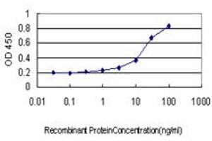 Detection limit for recombinant GST tagged STAU1 is approximately 0. (STAU1/Staufen 抗体  (AA 401-496))