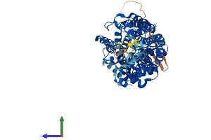 Protein Structure (PS) image for Solute Carrier Family 6 (Neurotransmitter Transporter, Noradrenalin), Member 2 (SLC6A2) (AA 1-617) protein (His tag) (ABIN7551694)