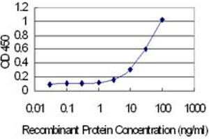Detection limit for recombinant GST tagged GTSF1L is 1 ng/ml as a capture antibody. (GTSF1L 抗体  (AA 1-148))