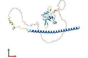 Protein Structure (PS) image for THAP Domain Containing 7 (THAP7) (AA 1-309) protein (His tag) (ABIN7559840)