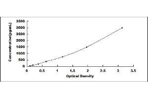 Typical standard curve (Fc gamma RII (CD32) ELISA 试剂盒)