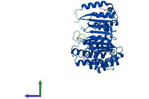 AlphaFold protein structure predicition of Mouse Recombinant Fbxo39 Protein, UniprotID Q5NBU5
