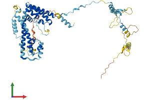 AlphaFold protein structure predicition of Human Recombinant PRPF31 Protein, UniprotID Q8WWY3