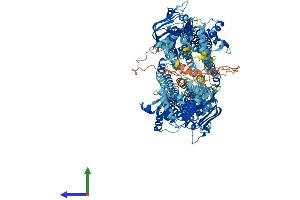 AlphaFold protein structure predicition of Mouse Recombinant Abcb11 Protein, UniprotID Q9QY30 (ABCB11 Protein (AA 1-1321) (His tag))