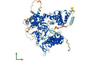 AlphaFold protein structure predicition of Human Recombinant SMYD4 Protein, UniprotID Q8IYR2