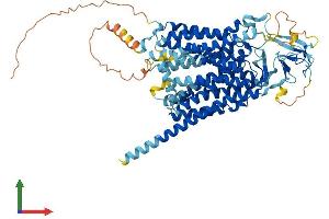Protein Structure (PS) image for Solute Carrier Organic Anion Transporter Family, Member 2B1 (SLCO2B1) (AA 1-683) protein (His tag) (ABIN7558995)