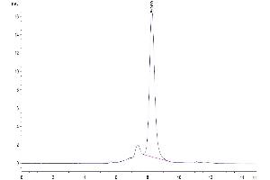 Size-exclusion chromatography-High Pressure Liquid Chromatography (SEC-HPLC) image for Desmoglein 3 (DSG3) (AA 50-615) protein (His tag) (ABIN7274501)