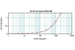 Image no. 1 for anti-PDGF-BB Homodimer antibody (Biotin) (ABIN465516) (PDGF-BB Homodimer 抗体 (Biotin))