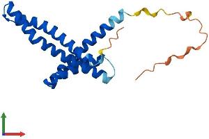 AlphaFold protein structure predicition of Human Recombinant TIMM17B Protein, UniprotID O60830