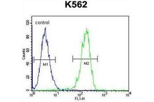 Flow Cytometry (FACS) image for anti-Cleavage and Polyadenylation Specific Factor 7, 59kDa (CPSF7) (AA 434-463), (C-Term) antibody (ABIN951686)