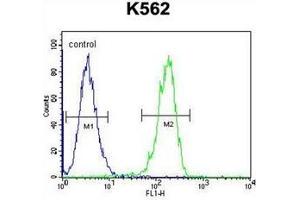 Flow Cytometric analysis of K562 cells using CPSF7 Antibody (C-term) Cat. (CPSF7 抗体  (C-Term))