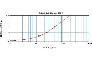 Sandwich ELISA using TSLP antibody (Thymic Stromal Lymphopoietin 抗体)