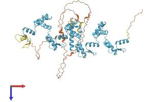AlphaFold protein structure predicition of Human Recombinant ZNF813 Protein, UniprotID Q6ZN06