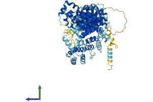 Protein Structure (PS) image for Adaptor-Related Protein Complex 5, zeta 1 Subunit (AP5Z1) (AA 1-807) protein (His tag) (ABIN7552257)