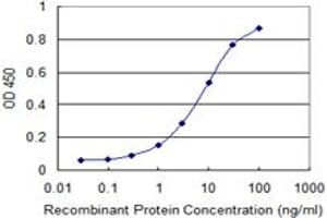 Detection limit for recombinant GST tagged SCP2 is 0. (SCP2 抗体  (AA 1-143))
