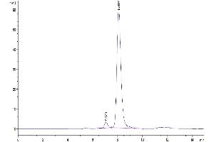 Size-exclusion chromatography-High Pressure Liquid Chromatography (SEC-HPLC) image for Poliovirus Receptor-Related Immunoglobulin Domain Containing (PVRIG) (AA 41-171) protein (Fc Tag) (ABIN7275504)