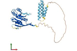 Protein Structure (PS) image for alpha- and gamma-Adaptin Binding Protein (AAGAB) (AA 1-316) protein (His tag) (ABIN7559701)