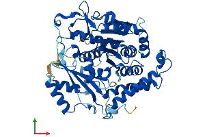 Protein Structure (PS) image for Tubulin, gamma 1 (TUBG1) (AA 1-451) protein (His tag) (ABIN7556756)