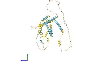 Protein Structure (PS) image for Family with Sequence Similarity 134, Member B (FAM134B) (AA 1-480) protein (His tag) (ABIN7559893)