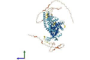 Protein Structure (PS) image for Transient Receptor Potential Cation Channel, Subfamily V, Member 1 (TRPV1) (AA 1-839) protein (His tag) (ABIN7555858)