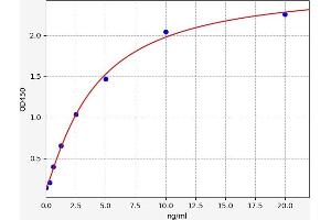 Typical standard curve (Norrie Disease (Pseudoglioma) ELISA 试剂盒)