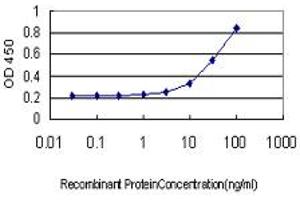 Detection limit for recombinant GST tagged POGK is approximately 1ng/ml as a capture antibody. (POGK 抗体  (AA 431-540))