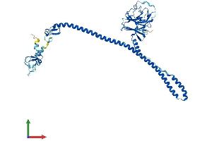 Protein Structure (PS) image for Tripartite Motif Containing 72 (TRIM72) (AA 1-477) protein (His tag) (ABIN7563646)