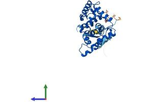 AlphaFold protein structure predicition of Human Recombinant GOLPH3L Protein, UniprotID Q9H4A5
