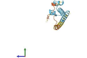 AlphaFold protein structure predicition of Human Recombinant KRBOX1 Protein, UniprotID C9JBD0
