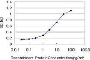 Detection limit for recombinant GST tagged MKNK2 is approximately 0. (MKNK2 抗体  (AA 1-158))