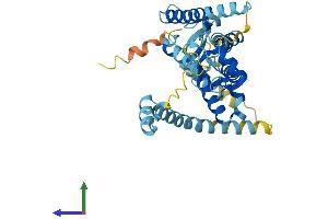 Protein Structure (PS) image for Peroxisomal Biogenesis Factor 12 (PEX12) (AA 1-359) protein (His tag) (ABIN7550726)
