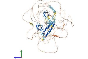 AlphaFold protein structure predicition of Mouse Recombinant Phf20l1 Protein, UniprotID Q8CCJ9 (PHF20L1 Protein (AA 1-1013) (His tag))