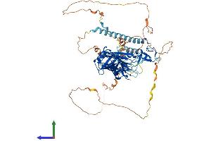 Protein Structure (PS) image for Rabphilin 3A (RPH3A) (AA 1-681) protein (His tag) (ABIN7563286)