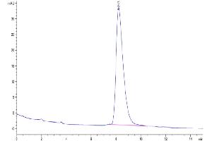 The purity of Human DDR2 is greater than 95 % as determined by SEC-HPLC. (DDR2 Protein (AA 22-399) (His tag))