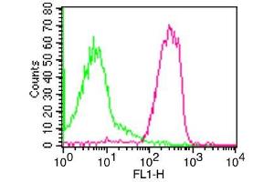 Flow Cytometry (FACS) image for anti-Intercellular Adhesion Molecule 3 (ICAM3) antibody (FITC) (ABIN5027874) (ICAM-3/CD50 抗体  (FITC))