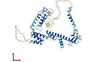 Protein Structure (PS) image for DnaJ (Hsp40) Homolog, Subfamily B, Member 12 (DNAJB12) (AA 1-375) protein (His tag) (ABIN7547133)